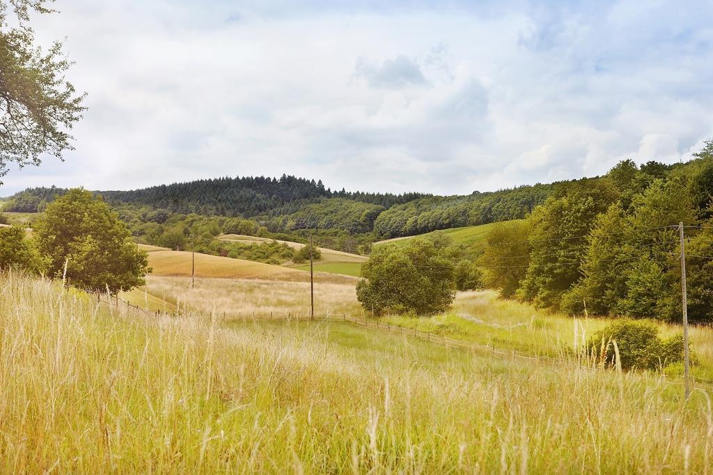 Landhotel Lembergblick Feilbingert Buitenkant foto