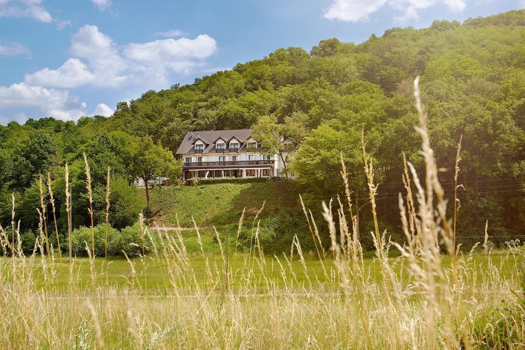 Landhotel Lembergblick Feilbingert Buitenkant foto