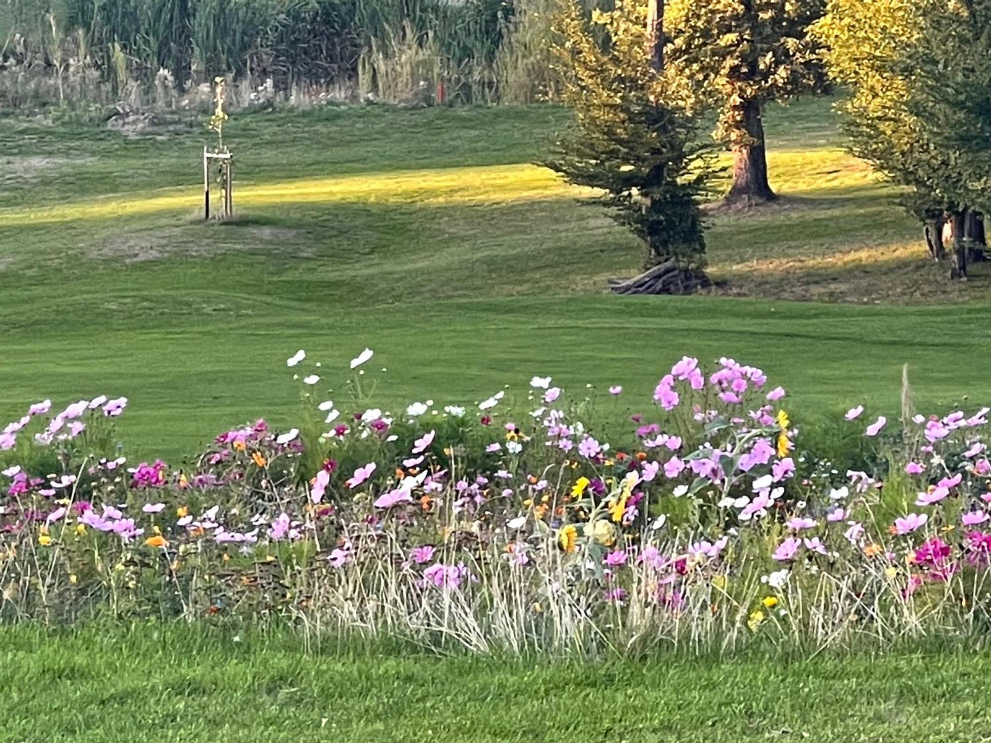 Landhotel Lembergblick Feilbingert Buitenkant foto
